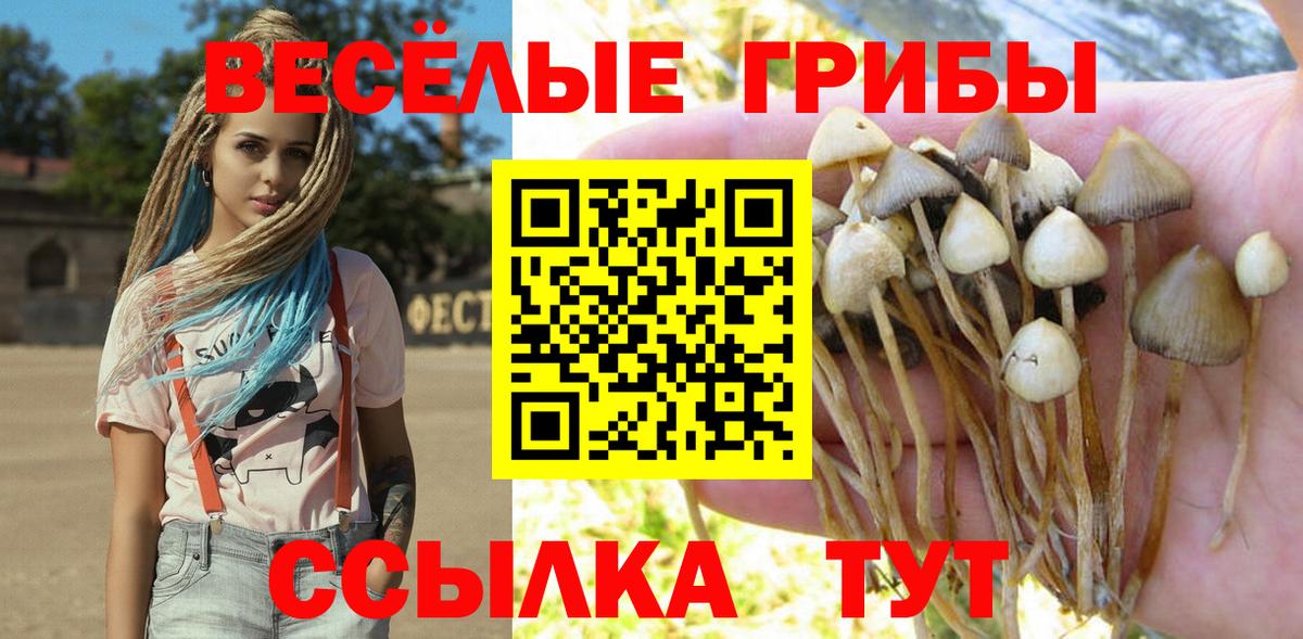 Бугуруслан  Псилоцибиновые грибы мухоморы  Вход с VPN 